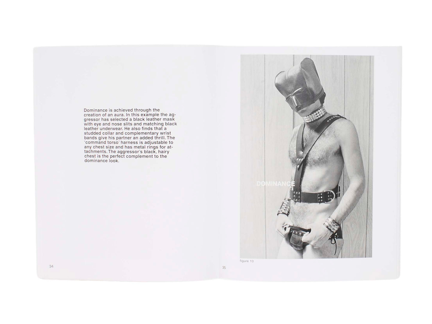 Gay Semiotics: A Photographic Study of Visual Coding Among Homosexual Men
